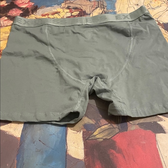 Boxer - Picture 3 of 3